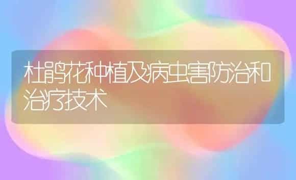 杜鹃花种植及病虫害防治和治疗技术 | 家庭养花