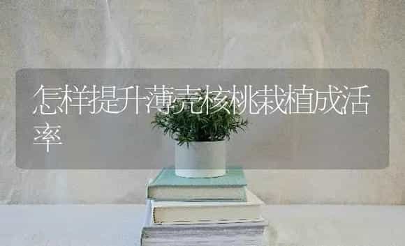 怎样提升薄壳核桃栽植成活率 | 特种种植