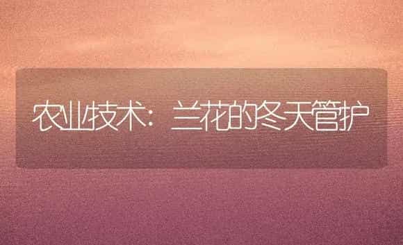 农业技术:兰花的冬天管护 | 家庭养花