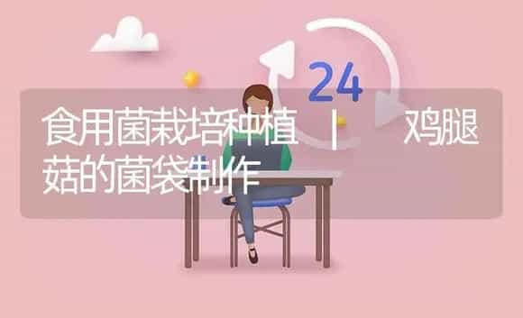 鸡腿菇的菌袋制作 | 菌菇种植