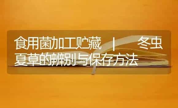 冬虫夏草的辨别与保存方法 | 菌菇种植