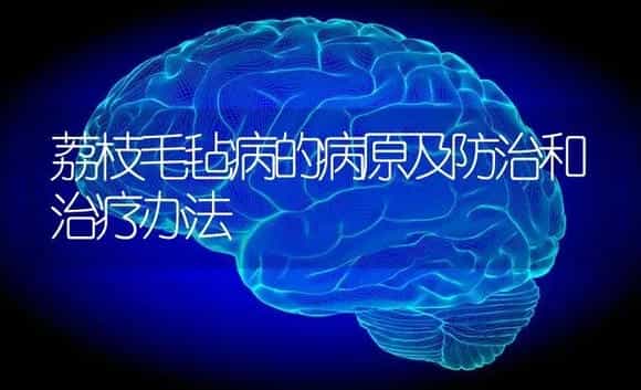 荔枝毛毡病的病原及防治和治疗办法 | 果木种植