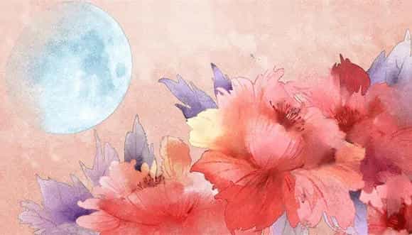 芍药花花语