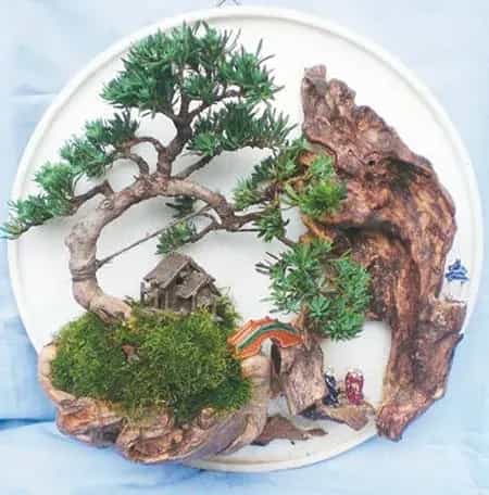 壁挂盆景 | 壁挂式盆景欣赏