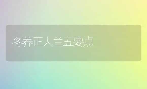 冬养正人兰五要点 | 家庭养花