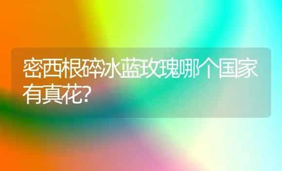 茉莉金针和银针的区别? | 绿植常识