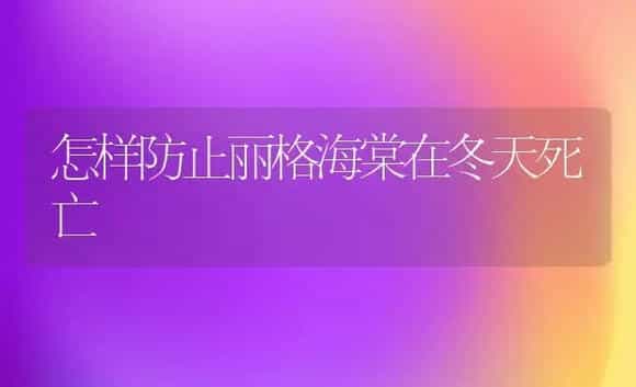 怎样防止丽格海棠在冬天死亡 | 家庭养花