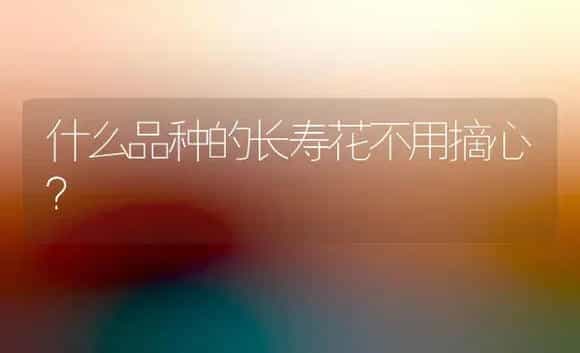 什么品种的长寿花不用摘心？ | 多肉养殖