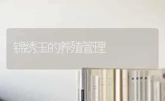 锦绣玉的养殖管理 | 特种种植