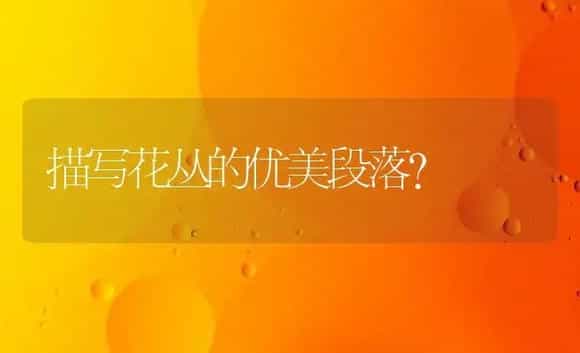 描写花丛的优美段落？ | 绿植常识