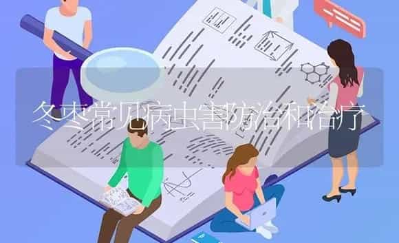 冬枣常见病虫害防治和治疗 | 果木种植