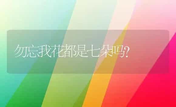 勿忘我花都是七朵吗？ | 绿植常识