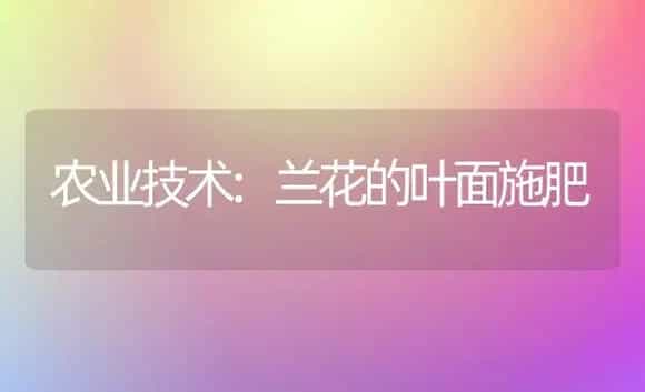 农业技术:兰花的叶面施肥 | 家庭养花