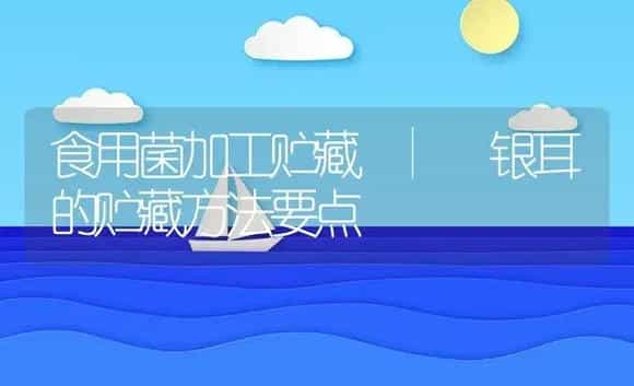 银耳的贮藏方法要点 | 菌菇种植