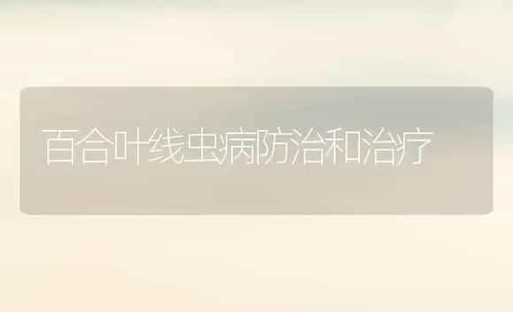 百合叶线虫病防治和治疗 | 家庭养花