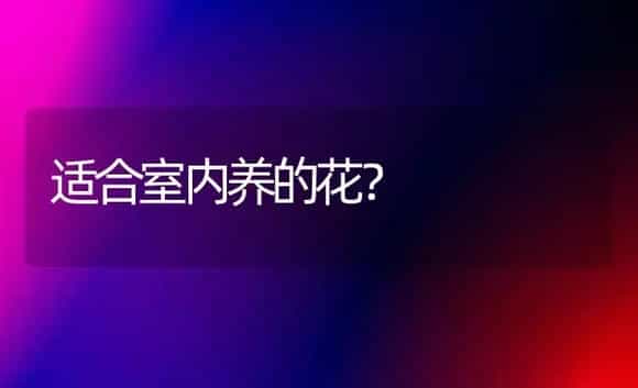 适合室内养的花？ | 绿植常识