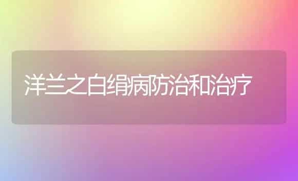 洋兰之白绢病防治和治疗 | 家庭养花