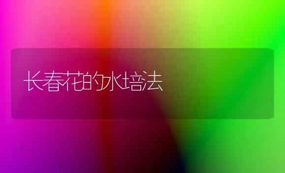 长春花的水培法 | 家庭养花