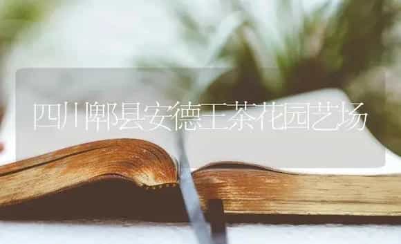 四川郫县安德王茶花园艺场 | 特种种植