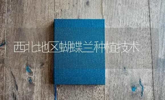 西北地区蝴蝶兰种植技术 | 特种种植