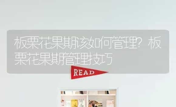 板栗花果期该如何管理?板栗花果期管理技巧 | 果木种植