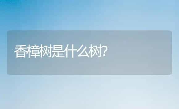 香樟树是什么树？ | 家庭养花