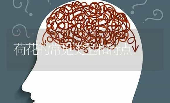 荷花的常见类型和特点 | 特种种植