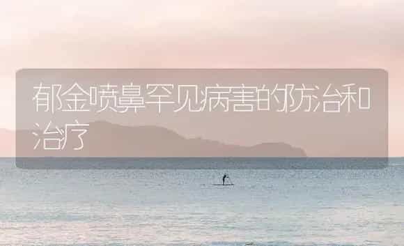 郁金喷鼻罕见病害的防治和治疗 | 家庭养花