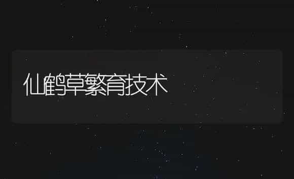 仙鹤草繁育技术 | 药材种植