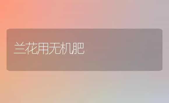 兰花用无机肥 | 家庭养花