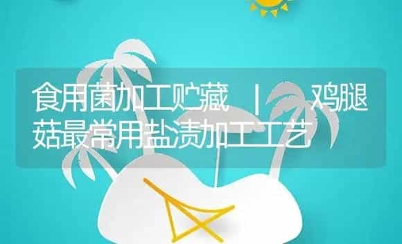 鸡腿菇最常用盐渍加工工艺 | 菌菇种植