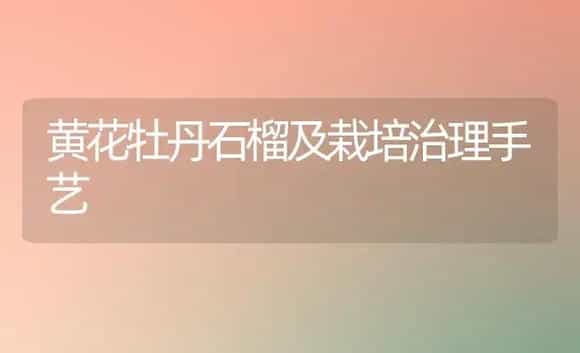 黄花牡丹石榴及栽培治理手艺 | 家庭养花