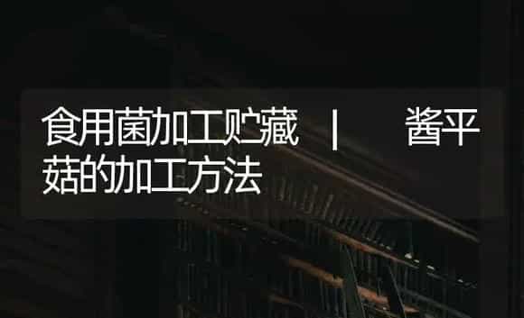 酱平菇的加工方法 | 菌菇种植