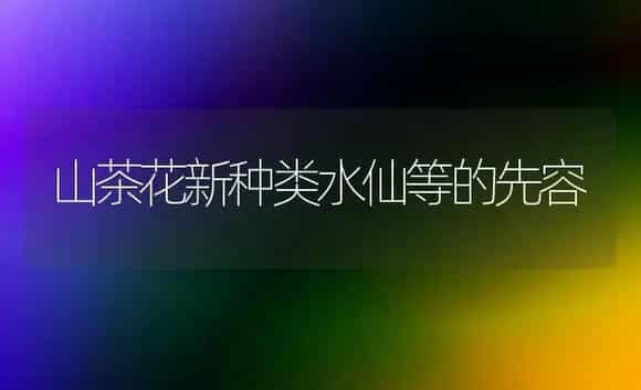 山茶花新种类水仙等的先容 | 家庭养花