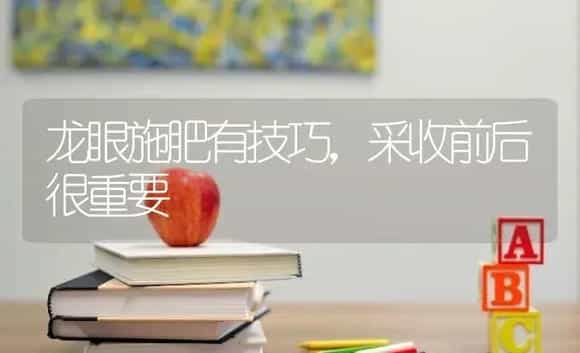 龙眼施肥有技巧，采收前后很重要 | 果木种植