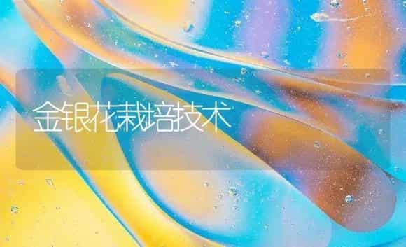 金银花栽培技术 | 药材种植