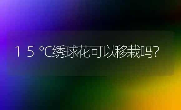 15℃绣球花可以移栽吗？ | 绿植常识