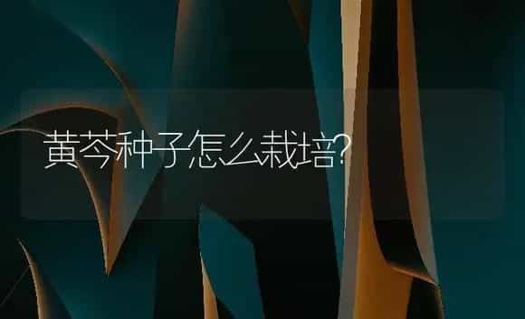 黄芩种子怎么栽培? | 药材种植