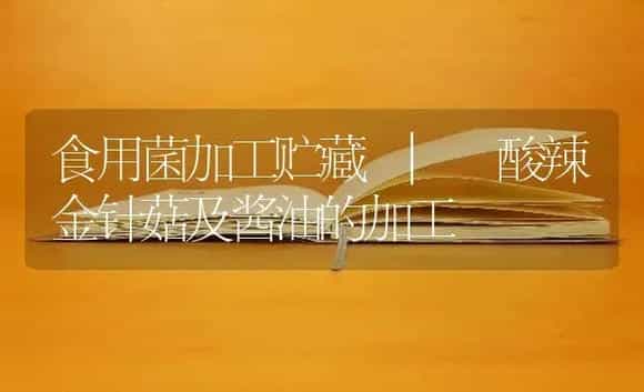 酸辣金针菇及酱油的加工 | 菌菇种植
