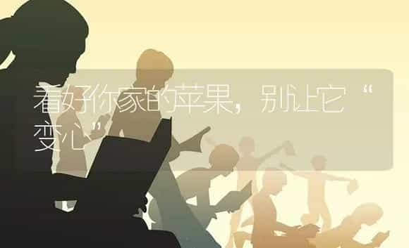 荔枝施肥有机肥很关键 | 果木种植