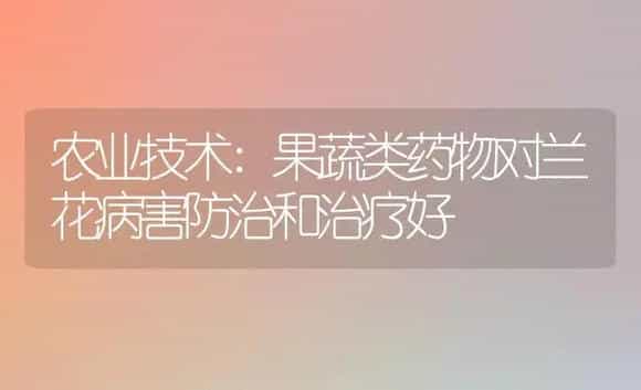 农业技术:果蔬类药物对兰花病害防治和治疗好 | 家庭养花