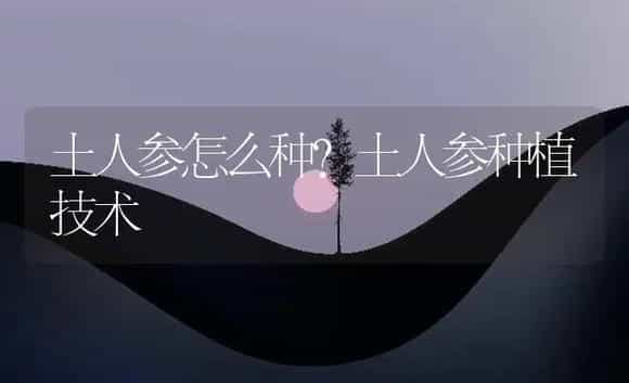 土人参怎么种？土人参种植技术 | 药材种植