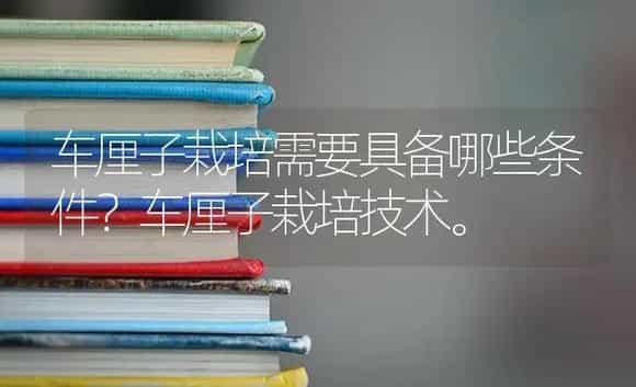 车厘子栽培需要具备哪些条件？车厘子栽培技术。 | 果木种植
