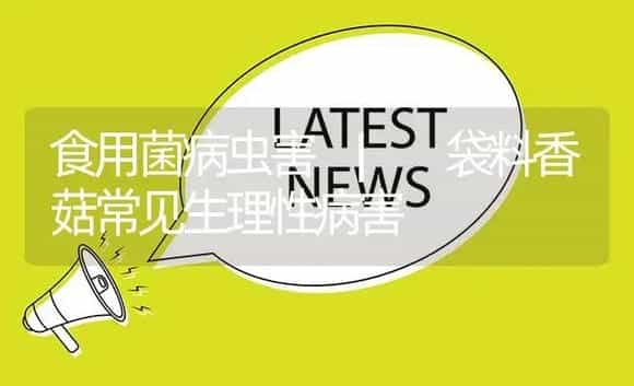 袋料香菇常见生理性病害 | 菌菇种植