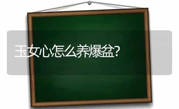 最美多肉植物排行榜? | 多肉养殖