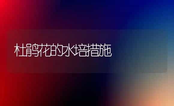 杜鹃花的水培措施 | 家庭养花