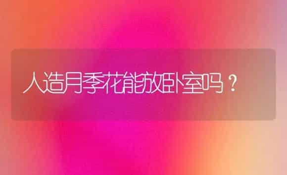 人造月季花能放卧室吗？ | 绿植常识