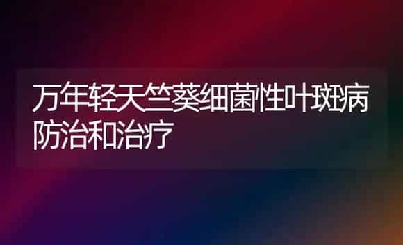 万年轻天竺葵细菌性叶斑病防治和治疗 | 家庭养花