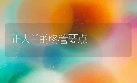 正人兰的冬管要点 | 家庭养花