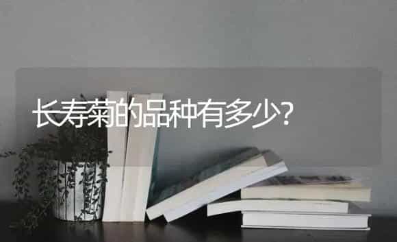 长寿菊的品种有多少？ | 多肉养殖